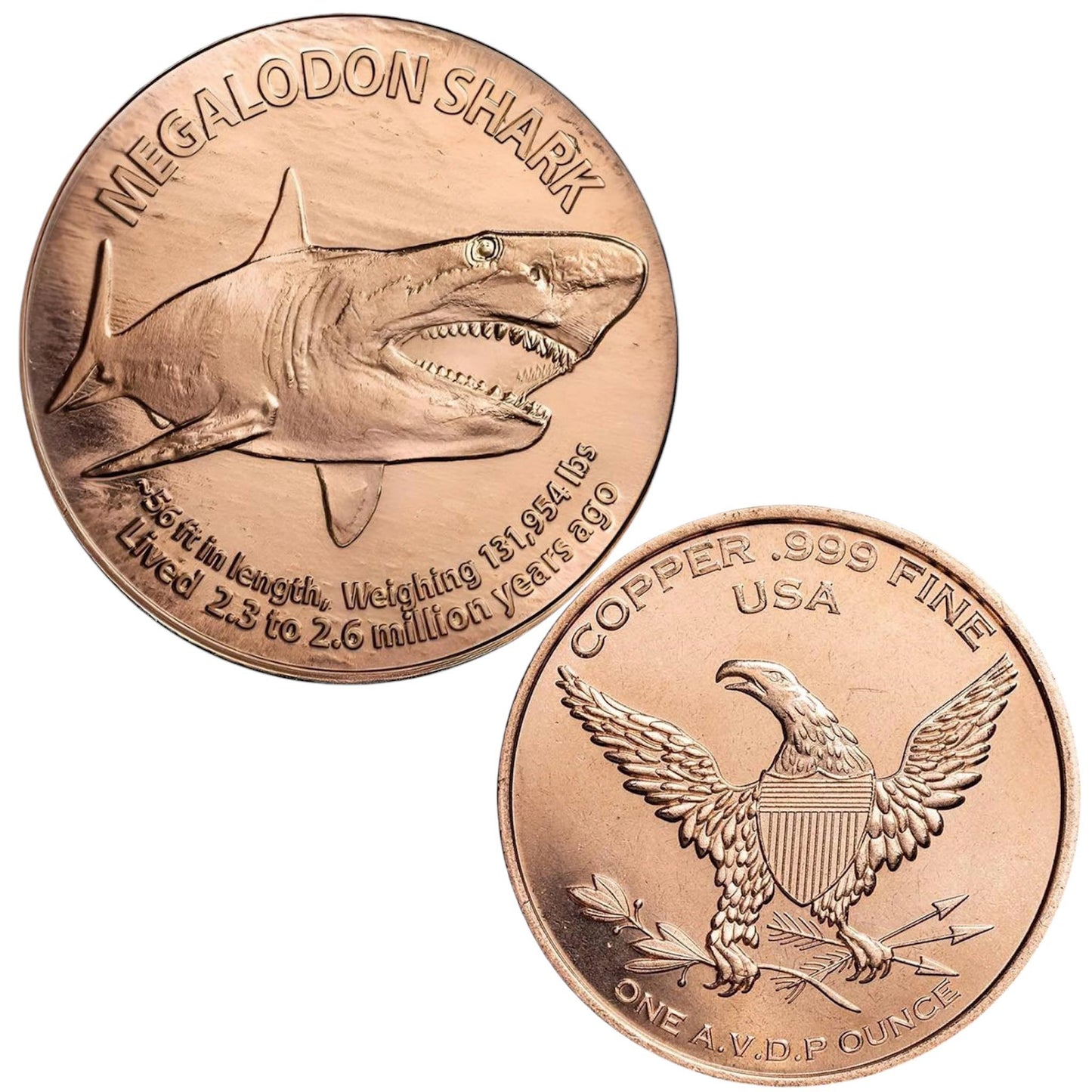 USA – 1 AVDP oz - MEGALODON SHARK Copper Round