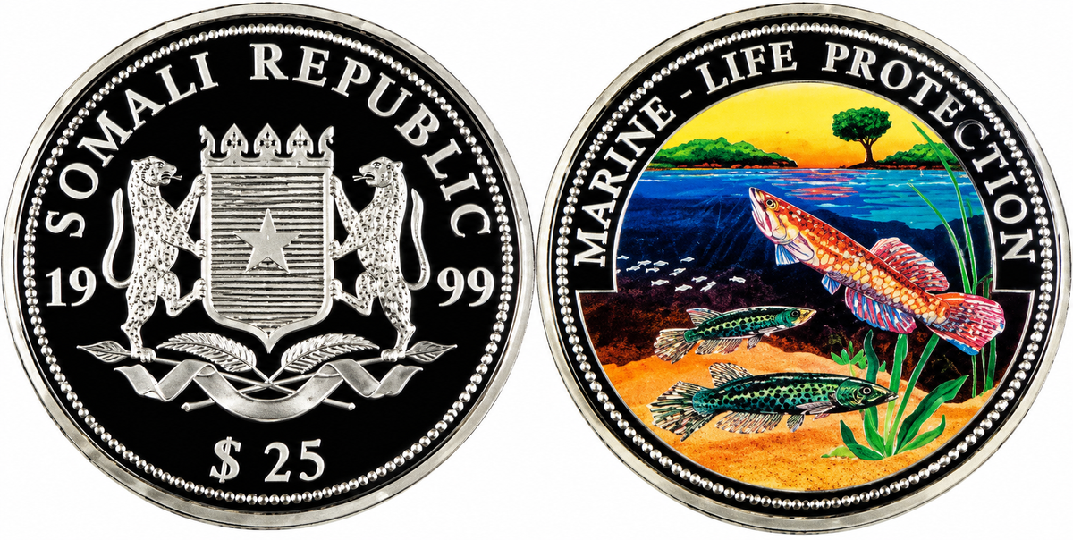 1999 Somalia - $25 - Killifish - Marine Life Protection Colorized Silver Coin