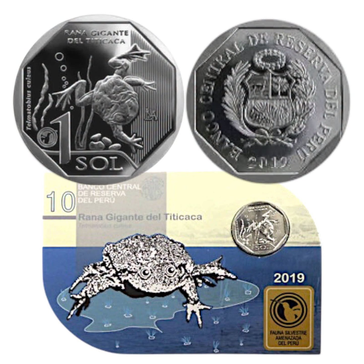 2019 Peru - 1 Sol - Titicaca Water Frog 10/10 – Endangered Wildlife of Peru Coin Card