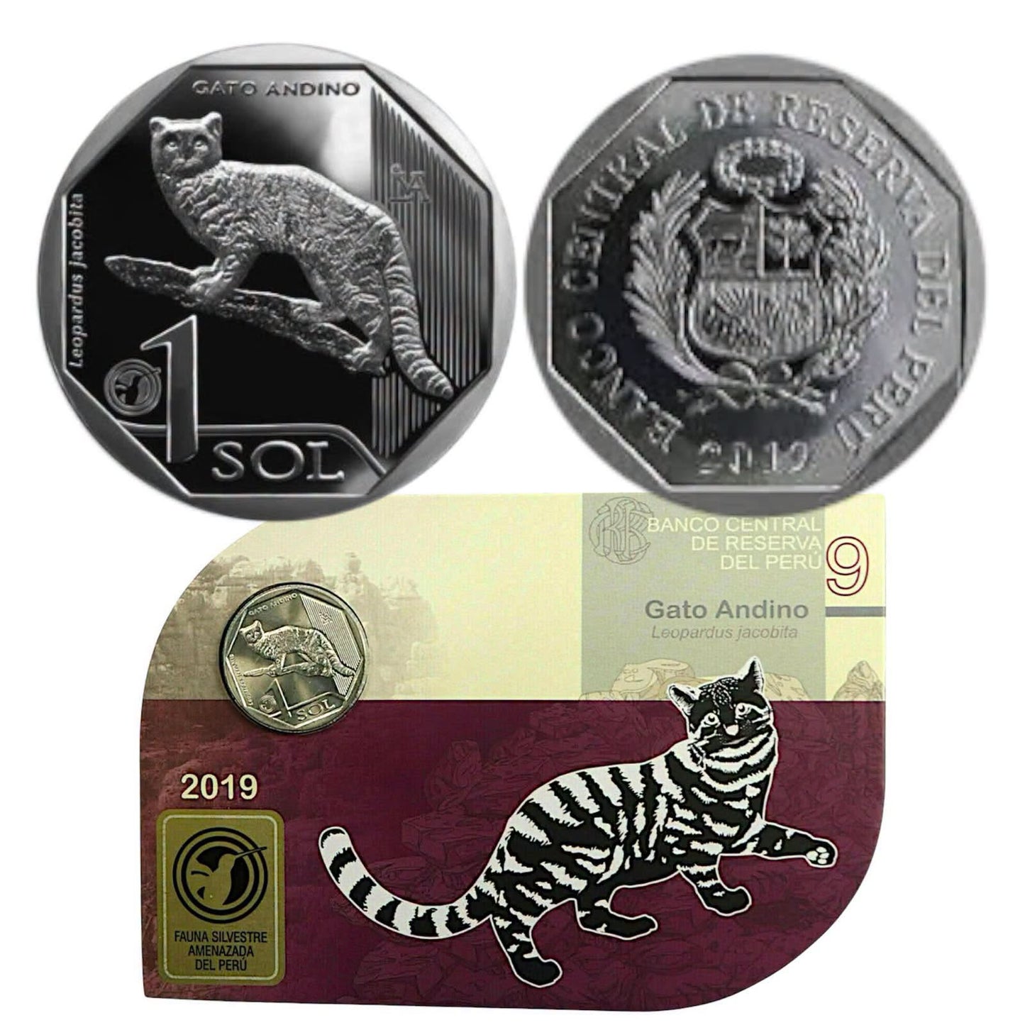 2019 Peru - 1 Sol - Andean Mountain Cat 09/10 – Endangered Wildlife of Peru Coin Card