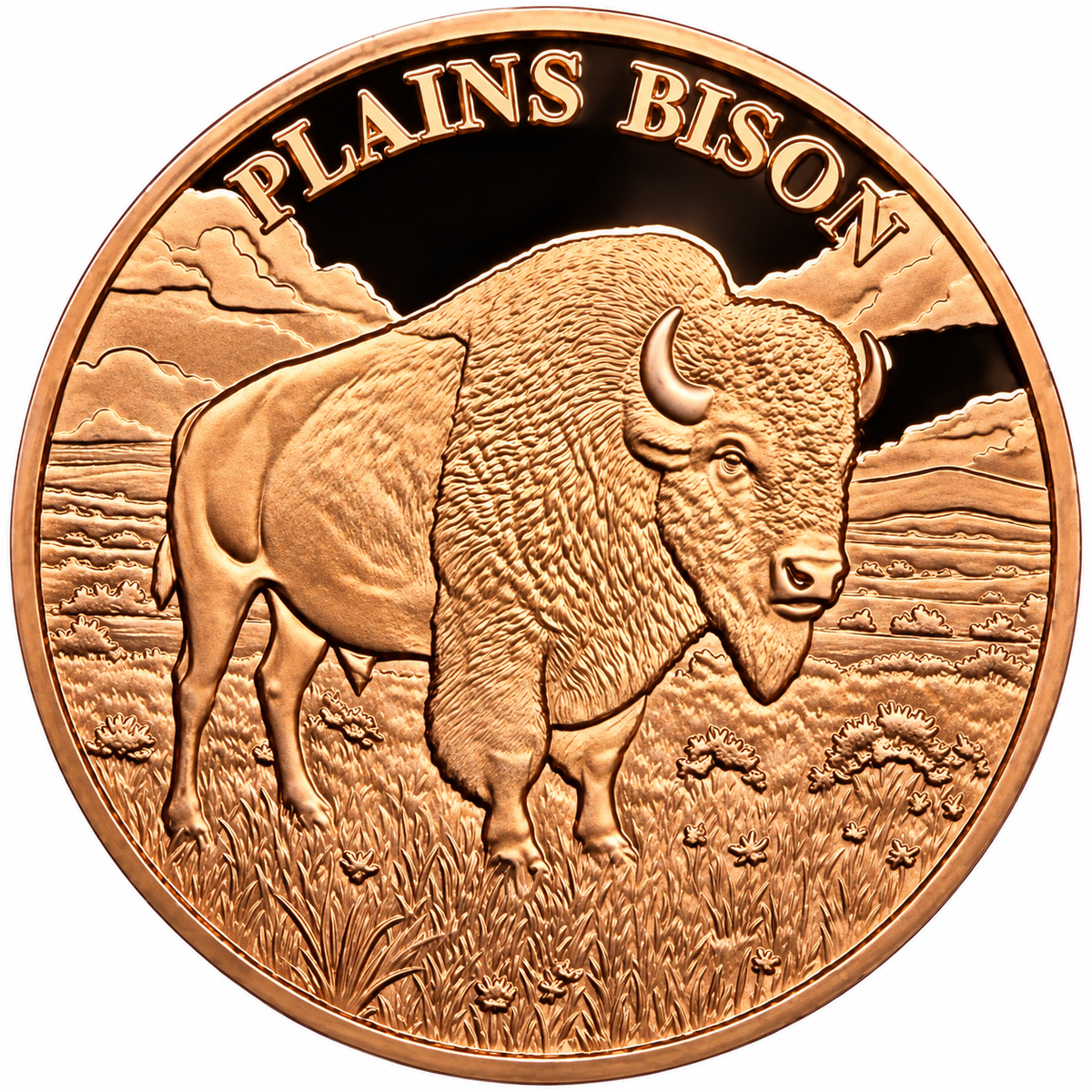 Canada - 1 Troy Oz - Plains Bison – Hunting Series Copper Round