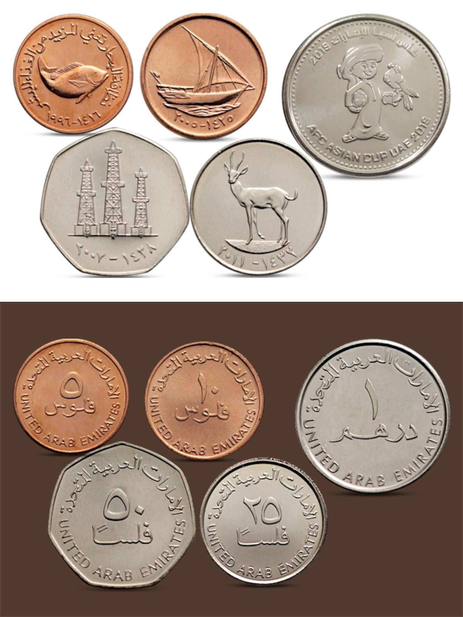 Moneta様　　オーダー専用ページ New Arrivals – Numismate®