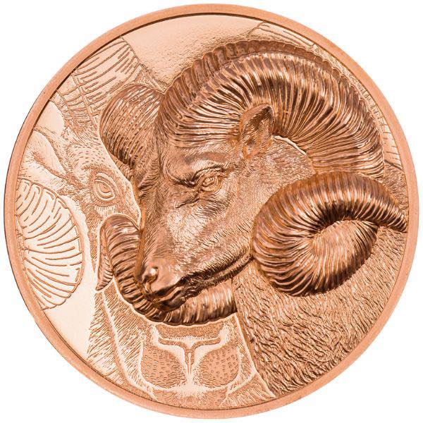 2022 Mongolia - Wild Mongolia – Magnificent Argali (Copper)