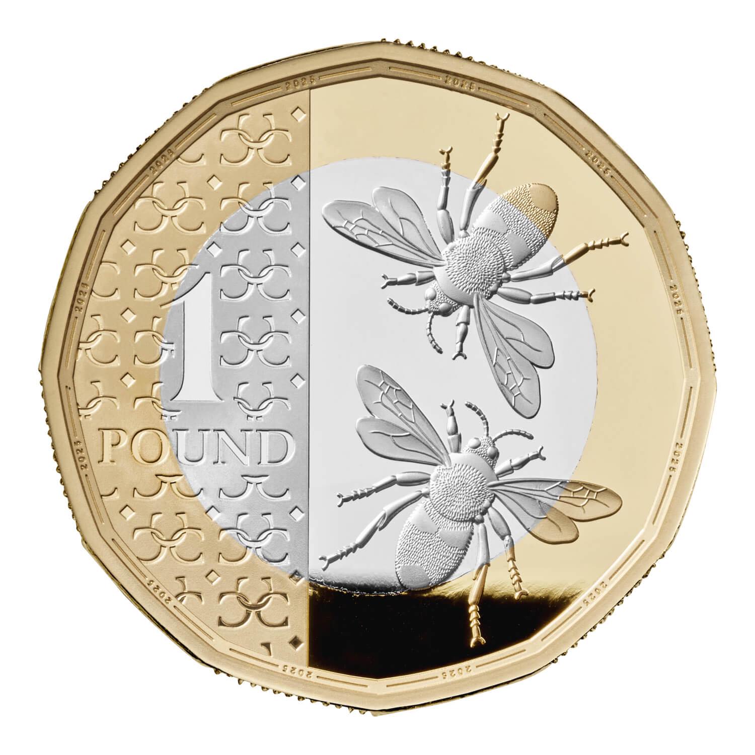 2025 United Kingdom - 5 Commemorative and 8 Definitive Coins Proof Set in Original Royal Mint Pack image 7