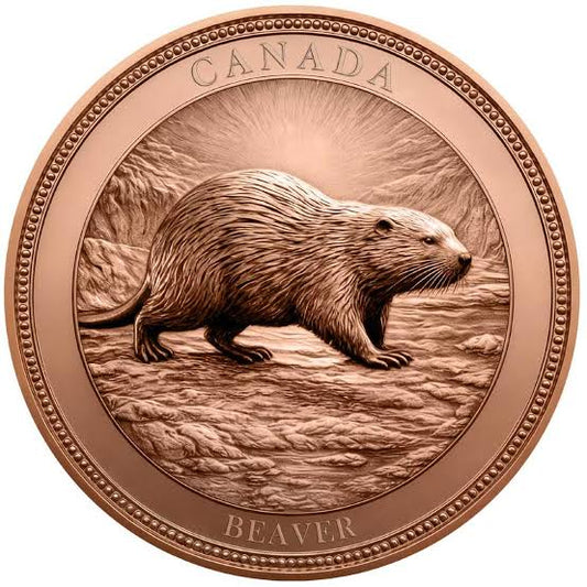 Canada - 1 Troy Oz - Beaver – Canadian Heritage Series Copper Round
