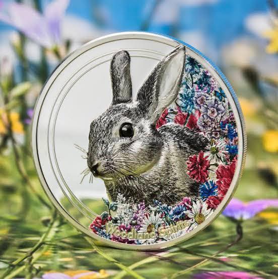 2019 Mongolia - Woodland Spirits – Rabbit – High Relief Collector’s Coin