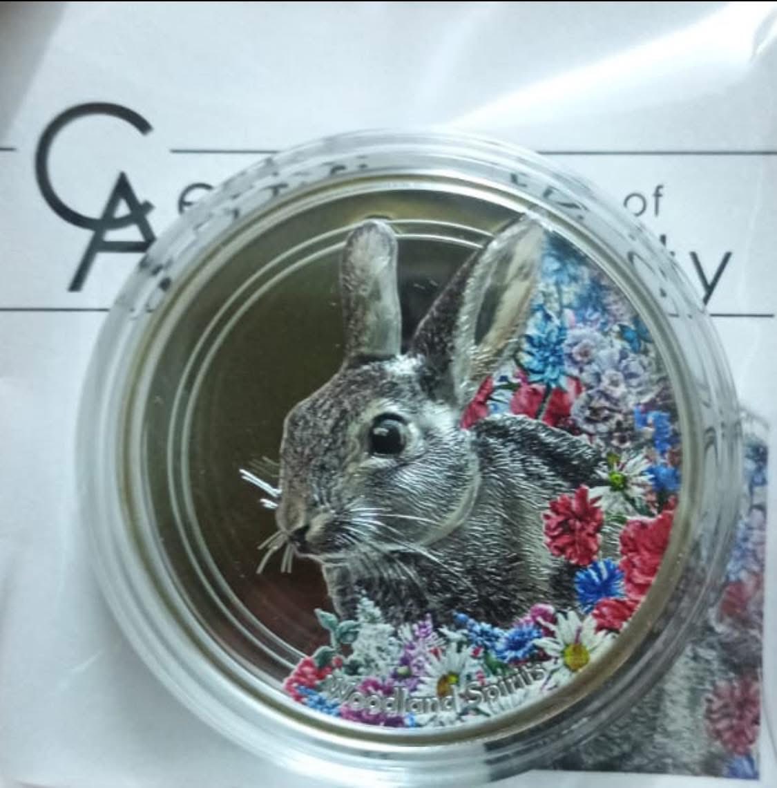 2019 Mongolia - Woodland Spirits – Rabbit – High Relief Collector’s Coin