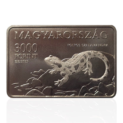 2025 Hungary – 3000 Forint - SPOTTED SALAMANDER - AGGTELEK NATIONAL PARK