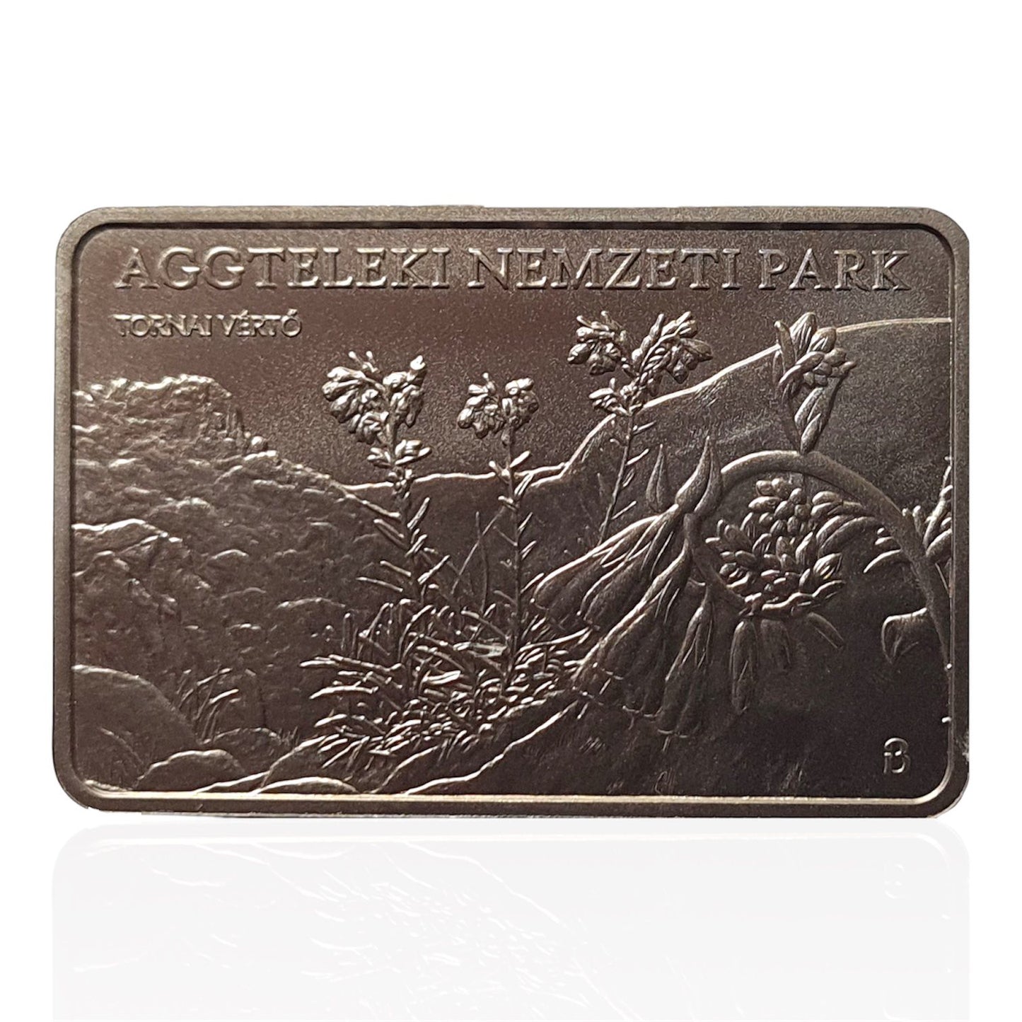 2025 Hungary – 3000 Forint - SPOTTED SALAMANDER - AGGTELEK NATIONAL PARK